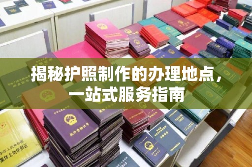 天心揭秘护照制作的办理地点，一站式服务指南